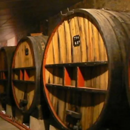 בית אירוח La Casa De La Route Des Vins Maury