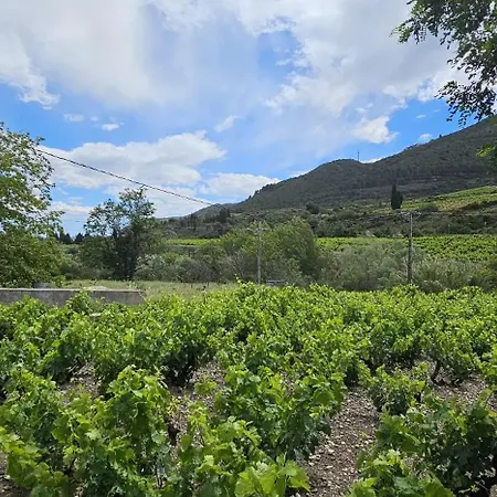La Casa De La Route Des Vins בית אירוח Maury